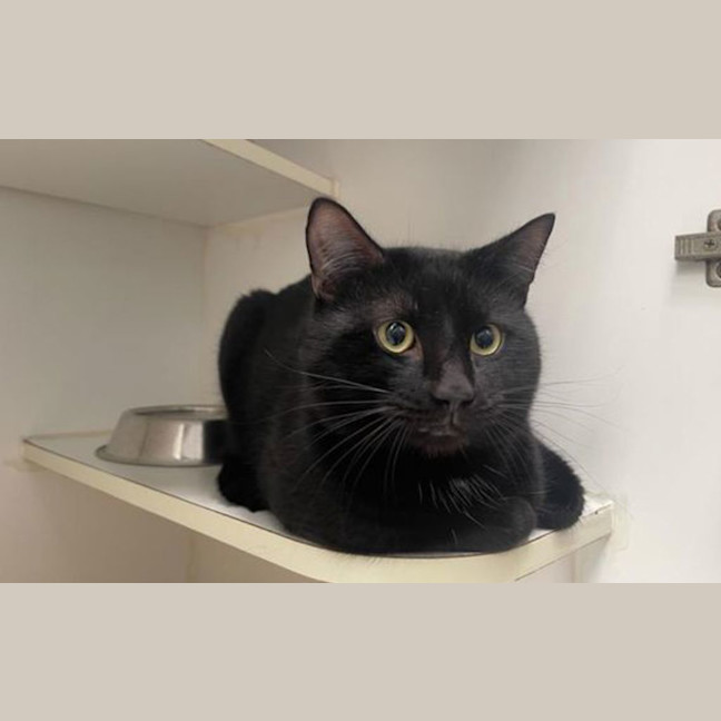 Photo of Taco
