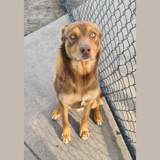 Photo of Alpha