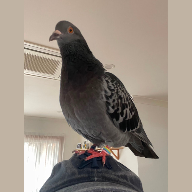 Photo of Stormy
