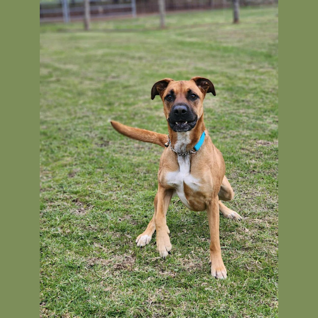 Photo of 🌹 Rose 6167 🌹