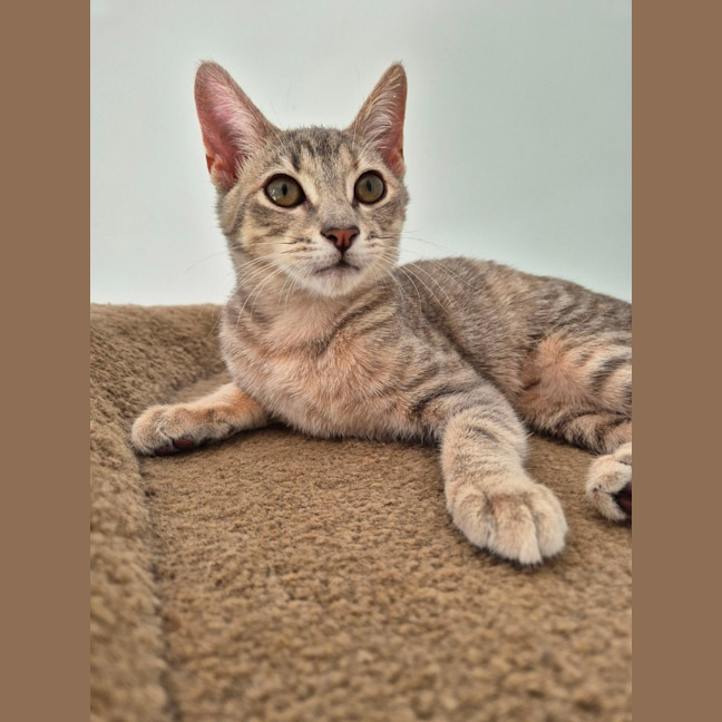 Photo of Audrey 🌹🌹🌹