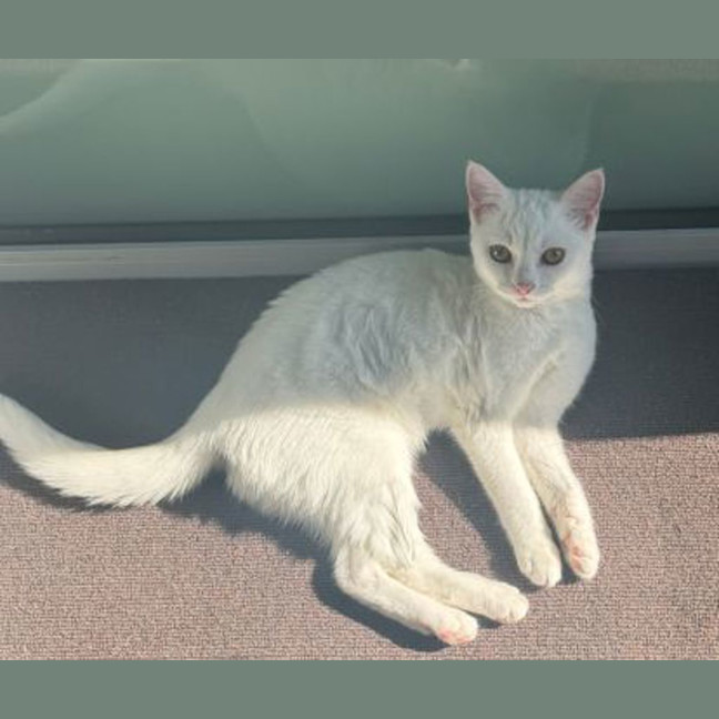 Photo of Mia