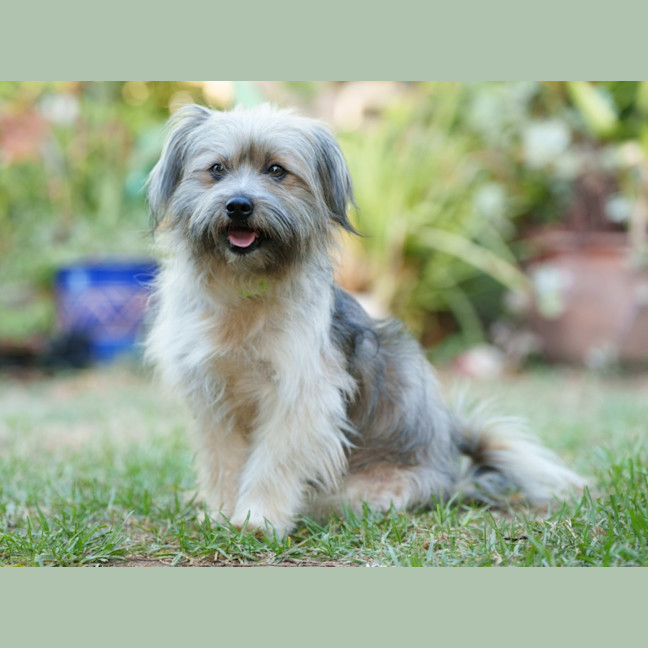 Photo of Rubble & Billy 