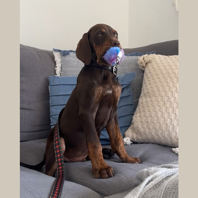 Photo of Max (Was Harry)