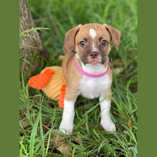 Photo of Kiki