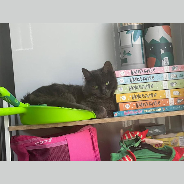 Photo of Hazel