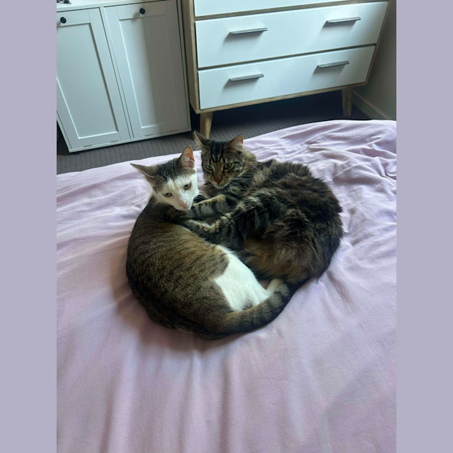Photo of ✨ Nemo & Coco ✨