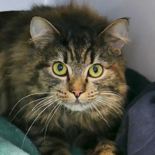 Photo of Gemma Sta012817