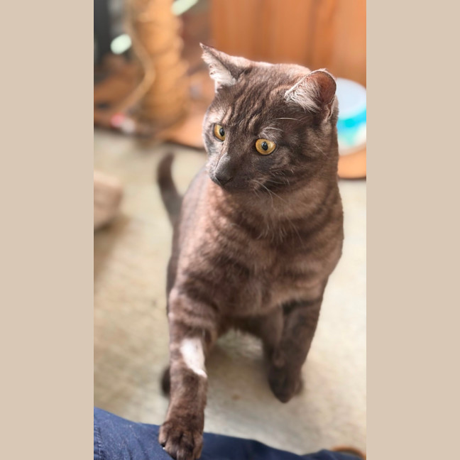 Photo of Owen