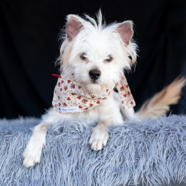 Photo of Jack Sprout