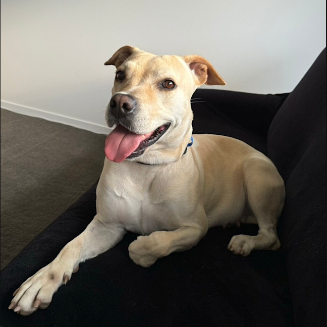 Photo of Lucy