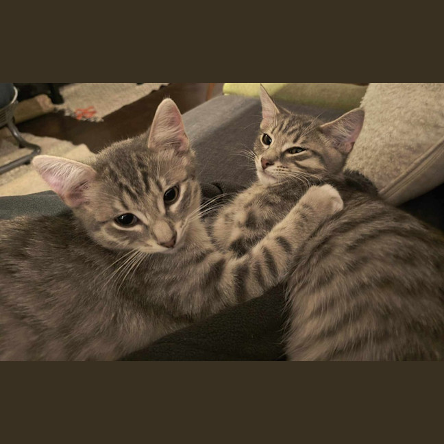 Photo of Bruno / Fruit Loop