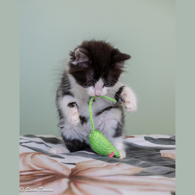 Photo of Maggie