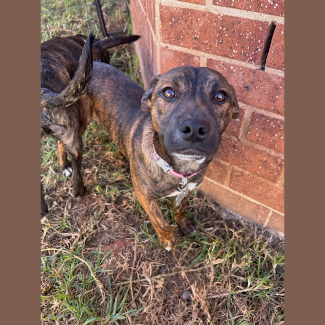 Photo of General Munchkin