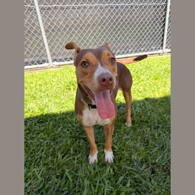 Photo of Coco