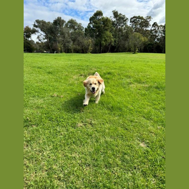 Photo of Sarrh Falko 