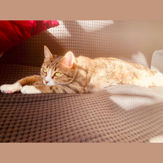 Photo of Kaiya