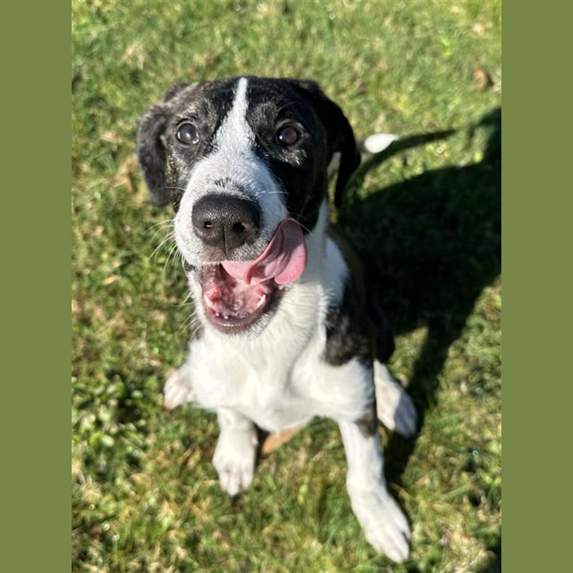 Photo of Lucy