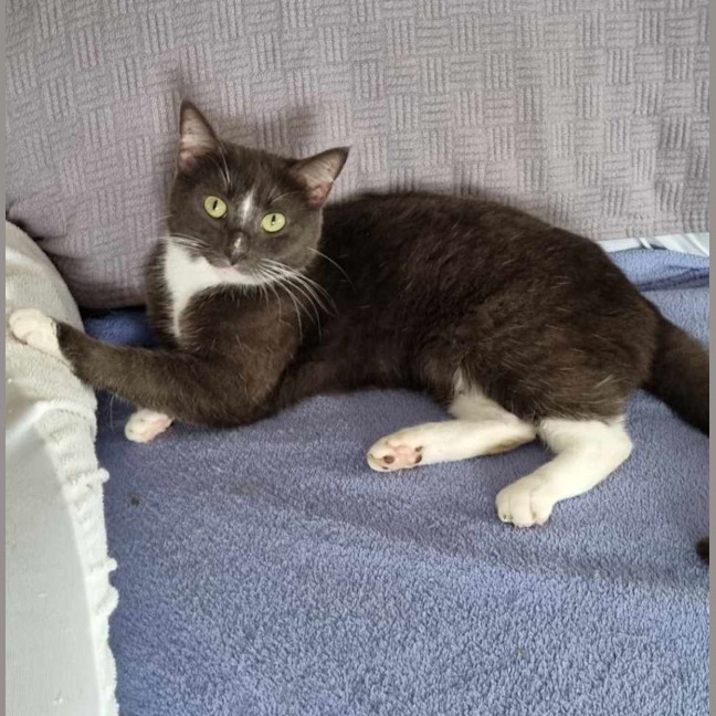 Photo of Zuri