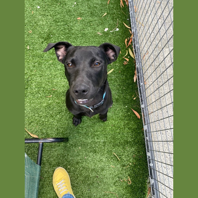 Photo of D1044 Marley