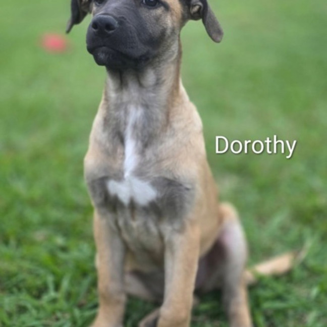 Photo of Dorothy