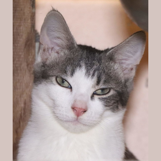 Photo of Skippy N Siggy 