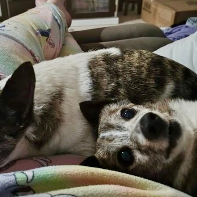 Photo of Sunny And Pj 