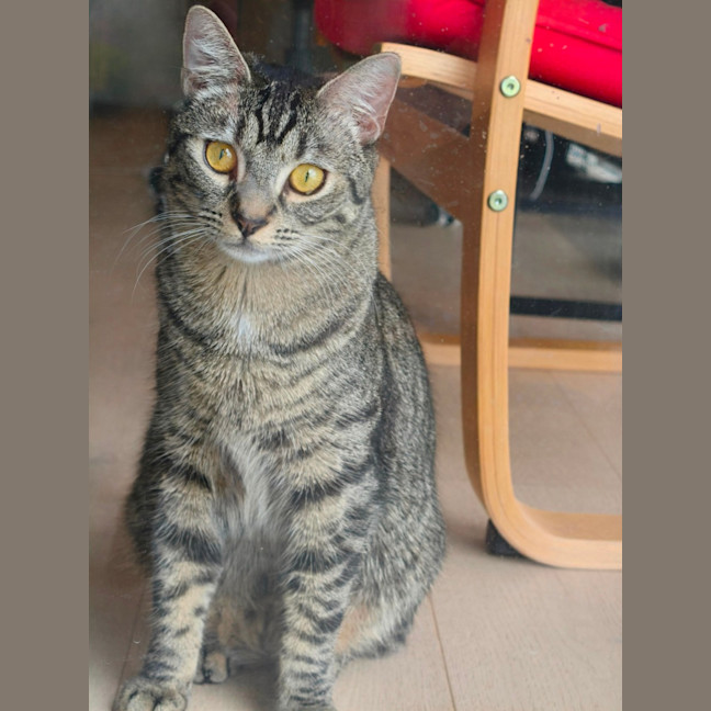 Photo of Star