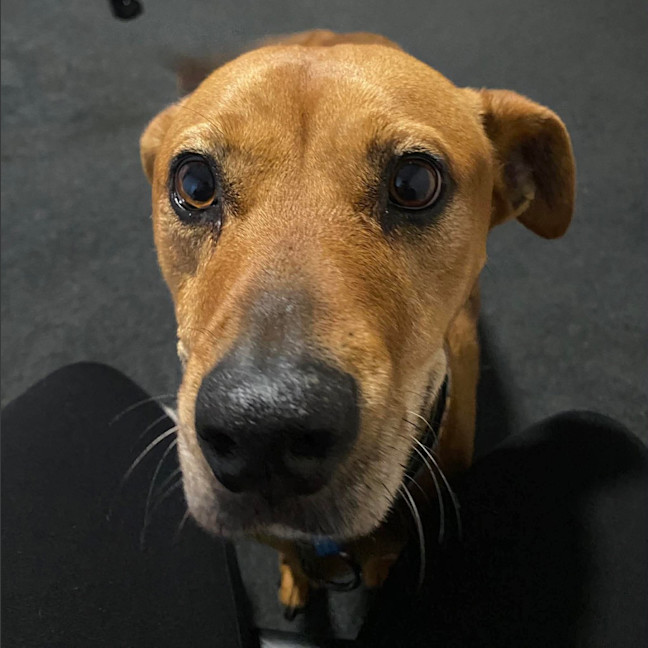 Photo of Zoe