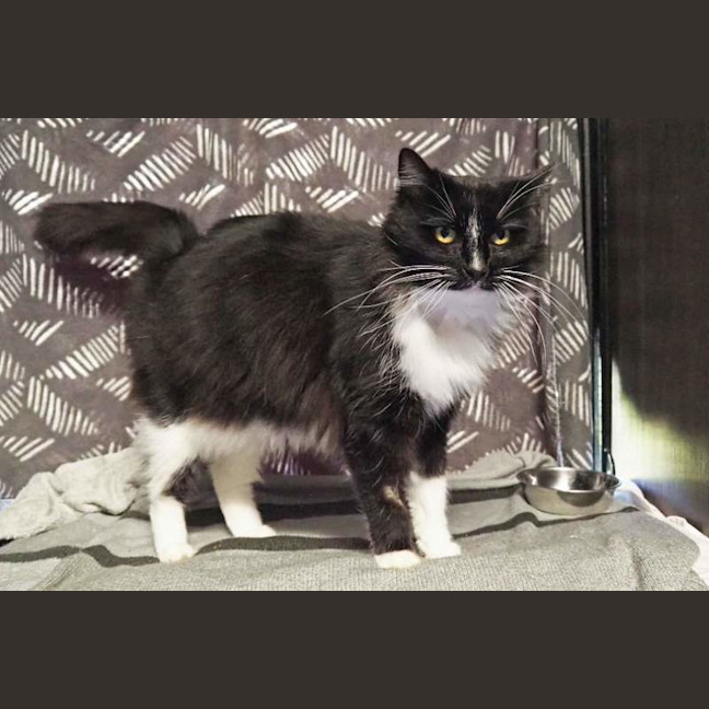 Photo of Coco