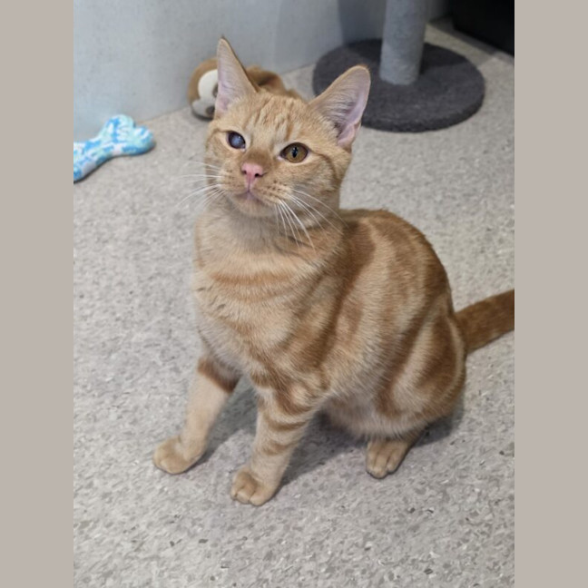 Photo of Fury