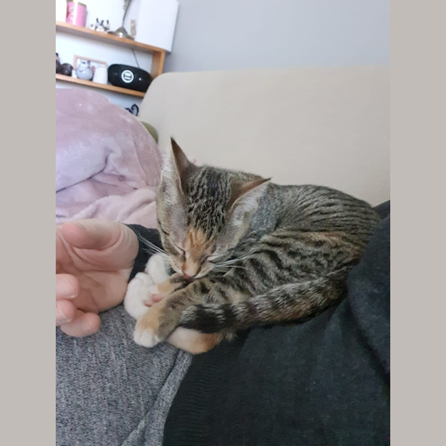 Photo of Mina
