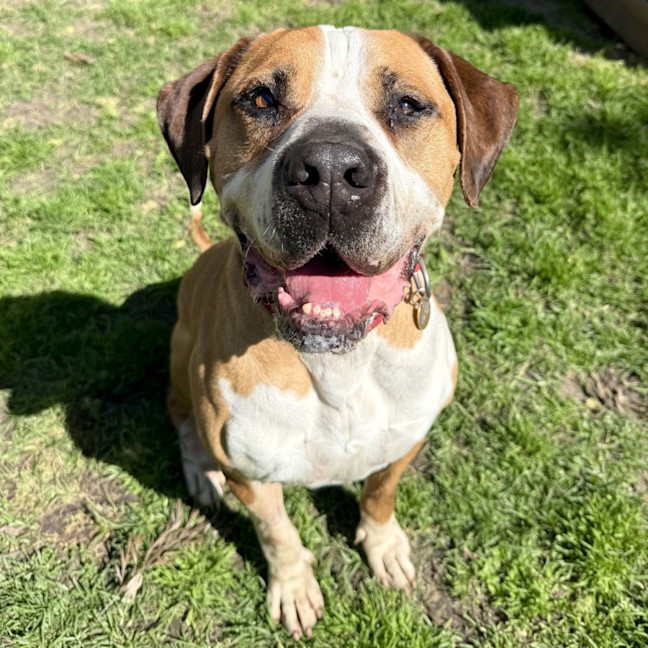 Photo of Ralph