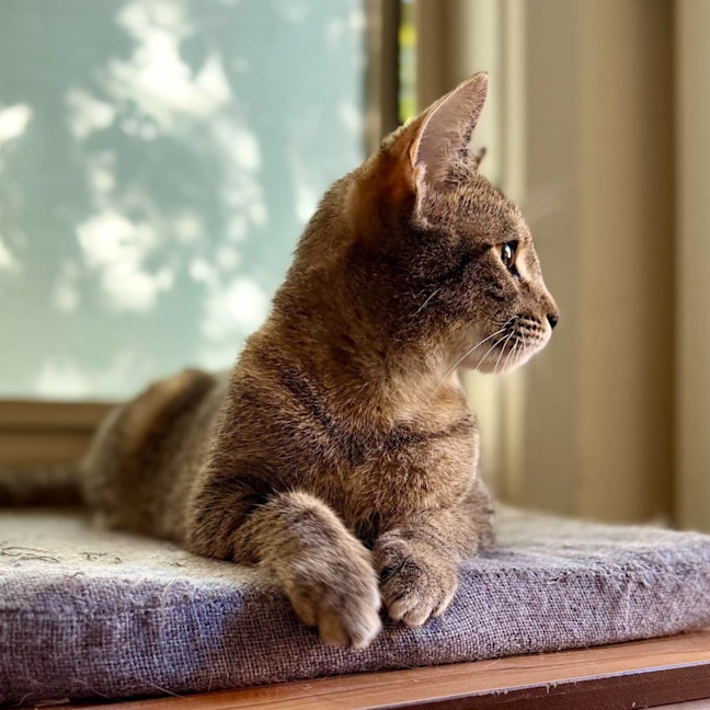 Photo of Melody   In Foster Care In Templestowe