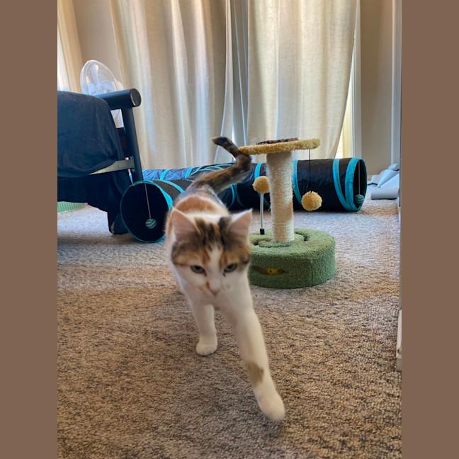 Photo of Candy