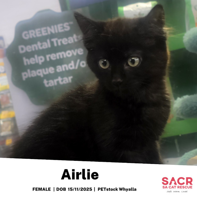 Photo of Airlie