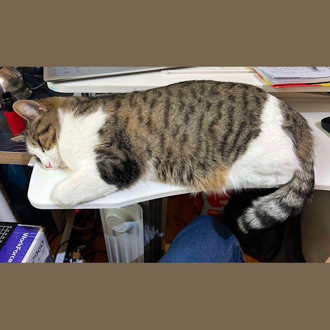 Photo of Lord Remington