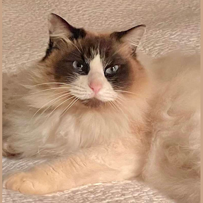 Photo of Molly