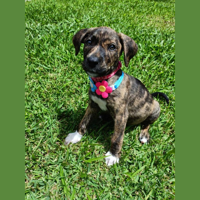 Photo of Chloe