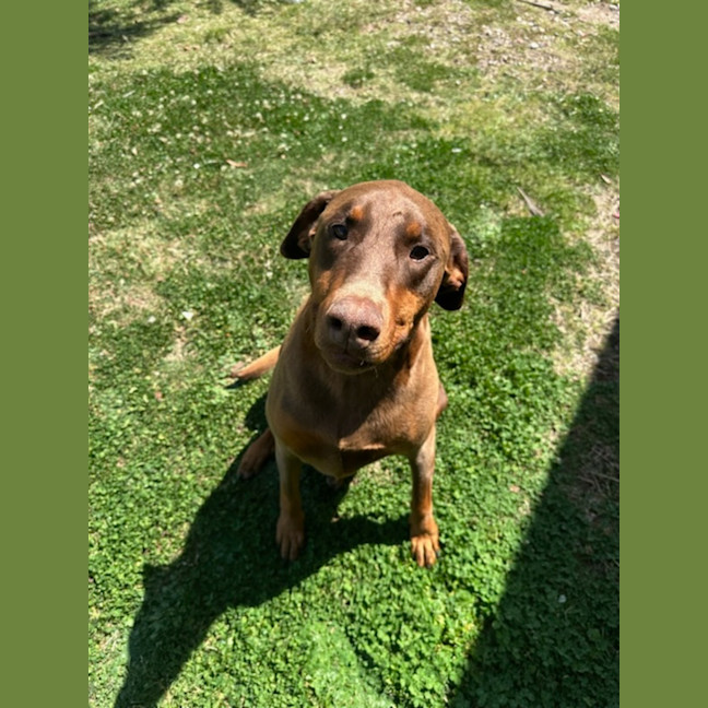 Photo of Roxy ** So So Special **