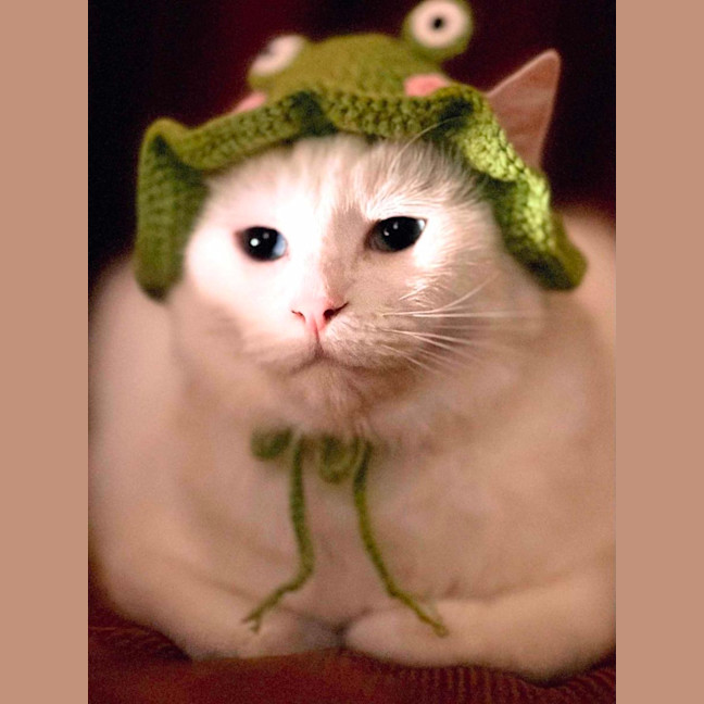 Photo of Alaska   Located In Preston