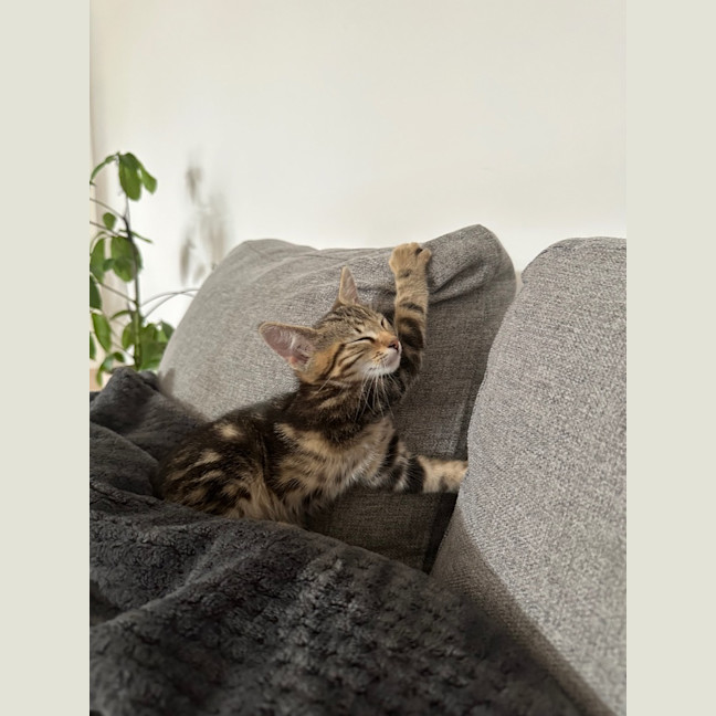 Photo of Sunny