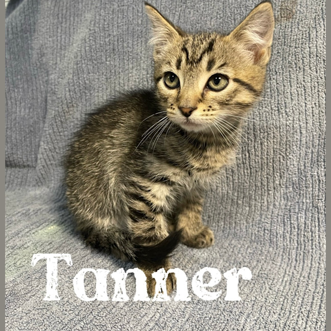 Photo of Tanner 