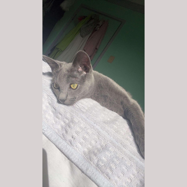 Photo of Baby.  (Ophelia)