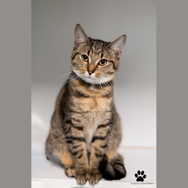 Photo of Lena