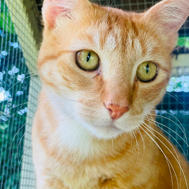 Photo of Ed