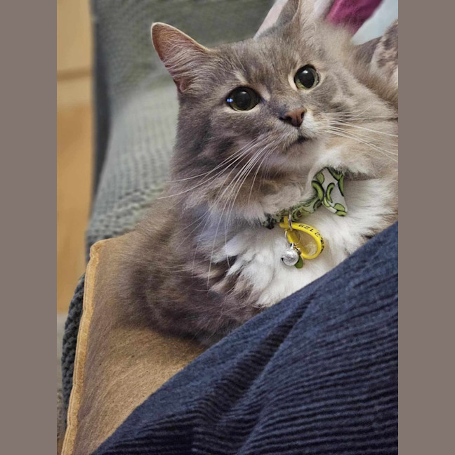 Photo of Klaus