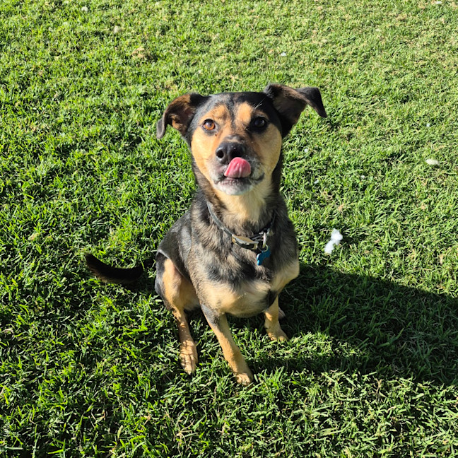 Photo of Ernie
