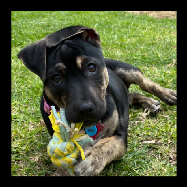 Photo of Princess Fiona