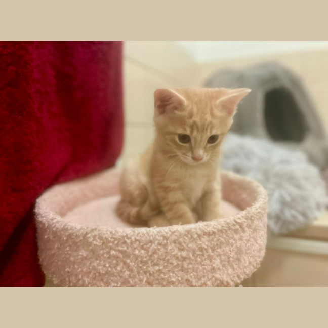 Photo of Stoic